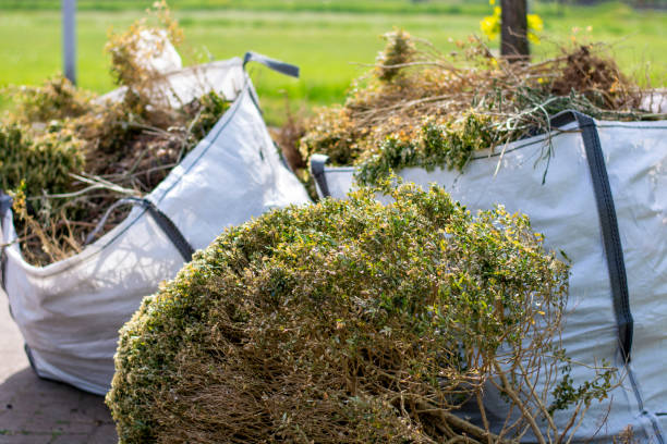 Best Full-Service Junk Removal  in Brundidge, AL